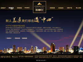 金都汇网站建设