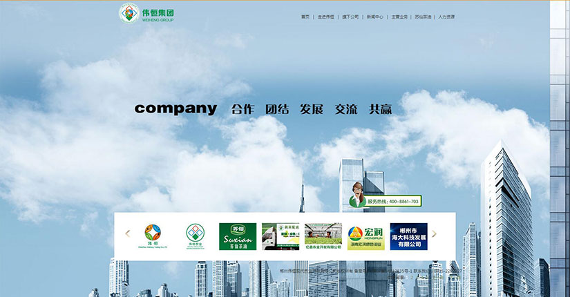品牌网站建设