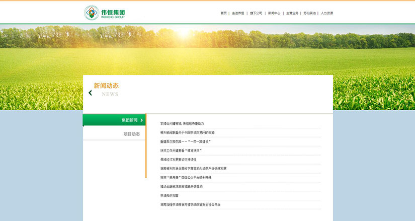 品牌网站建设