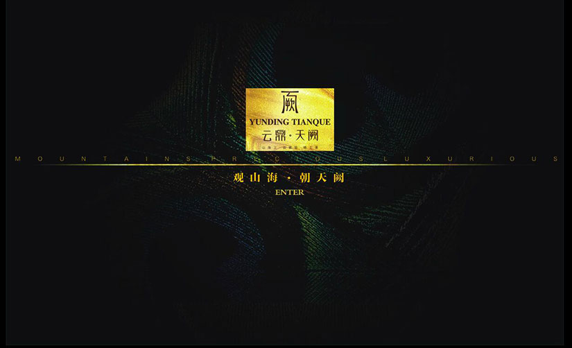 品牌网站建设