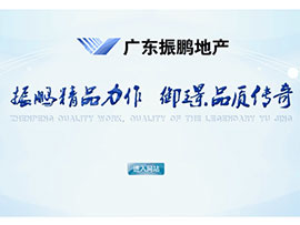 振鹏地产网站建设